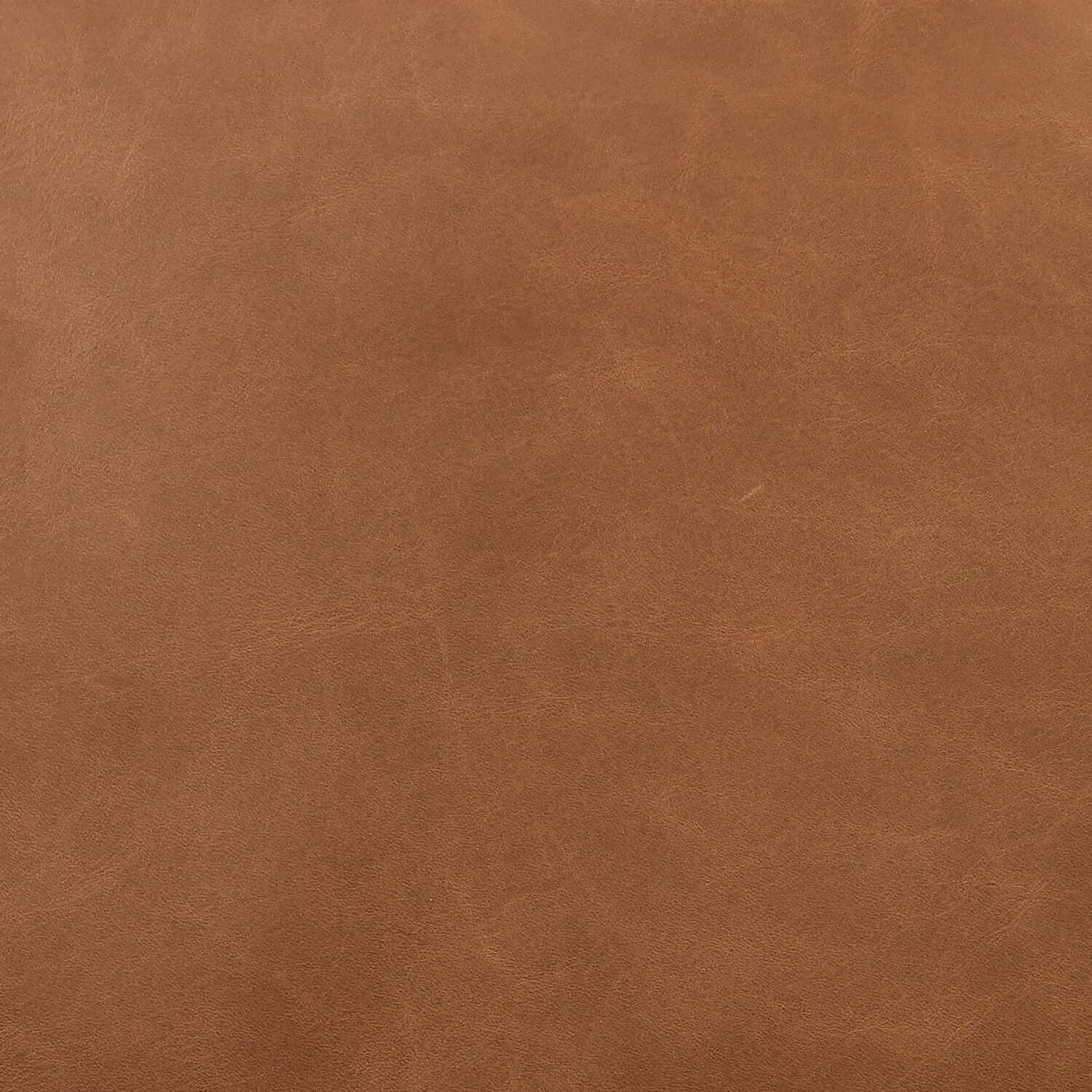 Jasmine Top Grain Brown Leather Swivel Accent Chair