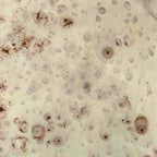 Pam Antique Beige Iron Accent Table 22